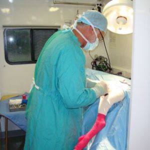 DSC00683
